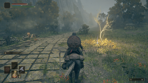 راهنمای شروع الدن رینگ برای مبتدیها | نکات و ترفندهای مهم